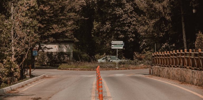 A peaceful rural intersection lined with orange traffic cones, surrounded by dense forest. Ideal for travel or road safety themes.
